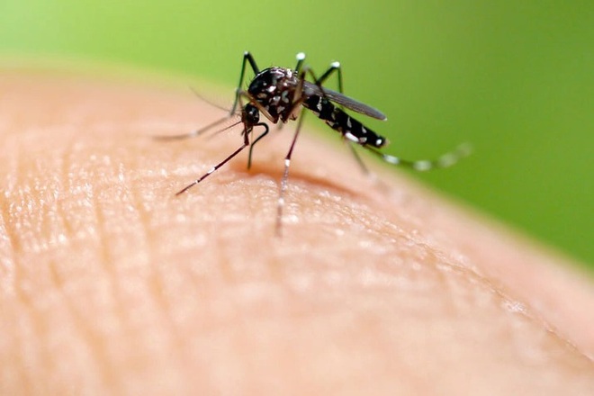 Dấu hiệu điển h&igrave;nh ph&acirc;n biệt Covid-19 v&agrave; sốt xuất huyết - 2